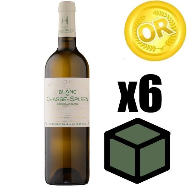 X6 Blanc de Chasse Spleen 2016 75 cl AOC Bordeaux Blanc Sec Vin Blanc