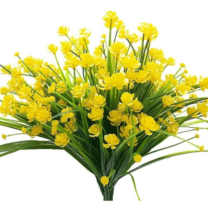 Plantes Exterieur Achat Vente Pas Cher