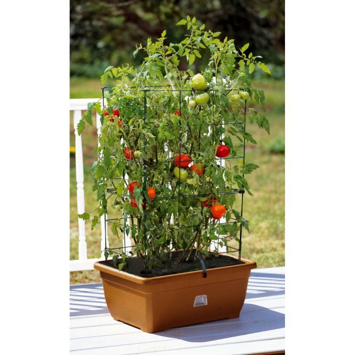 Kit potager terracota takla avec réserve d'eau … Cdiscount Jardin