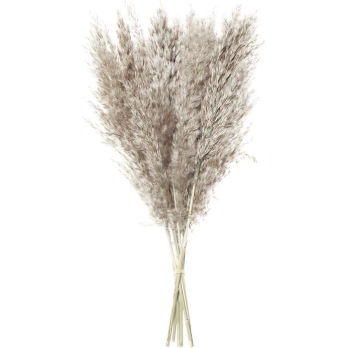 Herbe De Pampa Artificielle Pour 100 Pièces Beiges MCBOSON - Gamm Vert