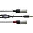 Câble audio en Y 1,8M CORDIAL, jack REAN 3,5MM/2x XLR M-1