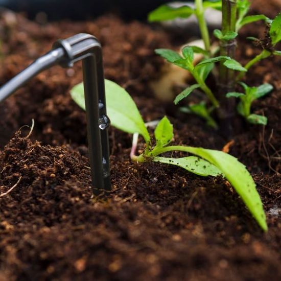 Kit D'arrosage Goutte à Goutte HOLZBRINK - 5 Lots Avec Goutteurs Et Tuyaux - Économise Jusqu'à 70% D'eau
