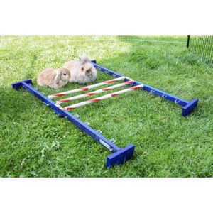 CAGE Obstacle combiné rongeurs Kerbl Agility - multicolore - TU