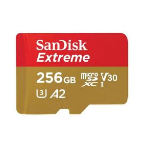 CARTE MÉMOIRE Carte Mémoire Micro SDXC SanDisk Extreme 256 Go A2
