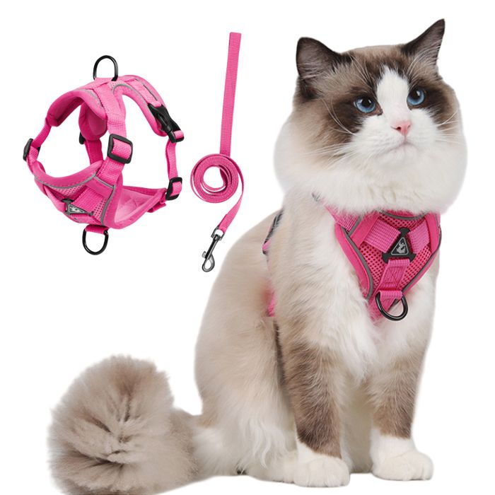 Comparer les prix de Harnais Chat- Harnais Petit Chien avec Laisse Réglable Respirant Refléchissant Laisses Colliers Chat-M-Rose