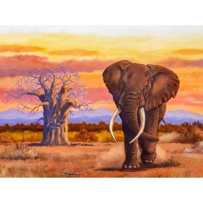 Pack De 4 Manilles D Noires De Récupération 3/4 - Charge 4.75T, Résistance 19T, Pour 4x4 Et Pick-up