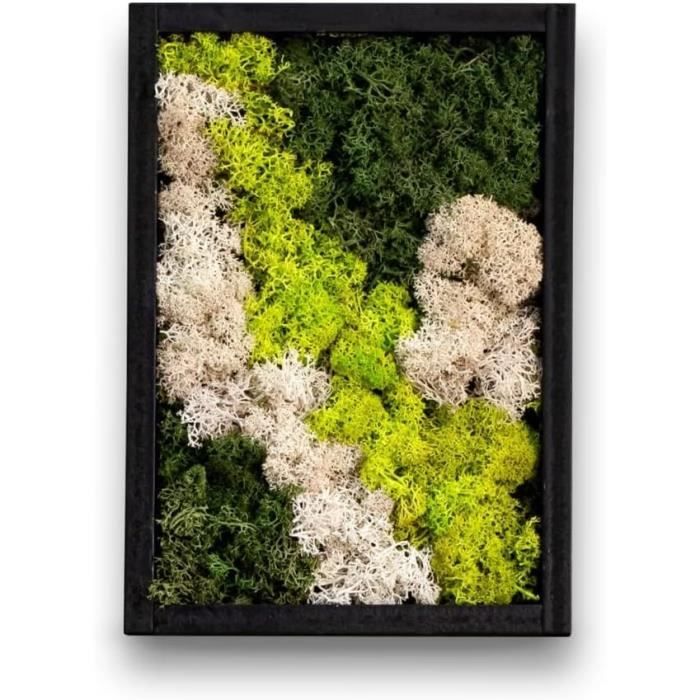 1 Boîte De Mousse Véritable – Décoration En Mousse Naturelle à Bricoler