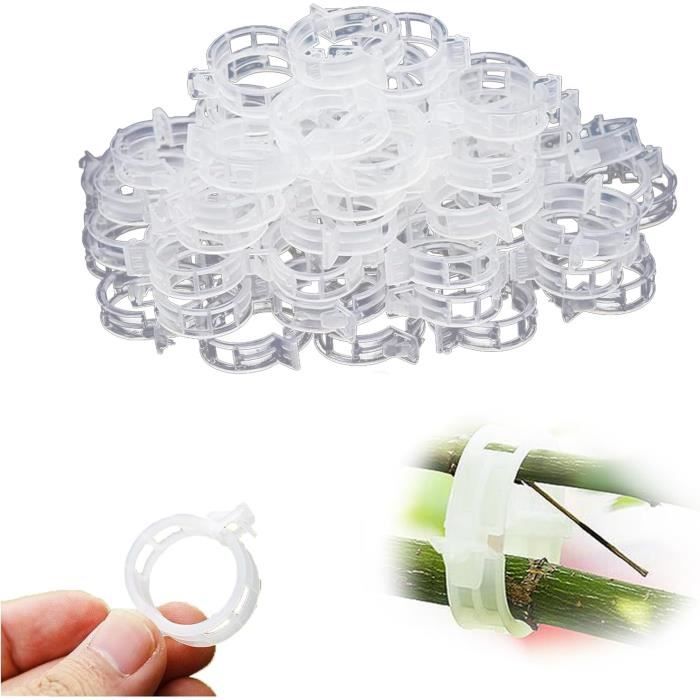 Lot De 100 Clips/Supports Pour Plantes - 50 Grands + 50 Petits, Pour Tomates, Concombres, Rosiers...