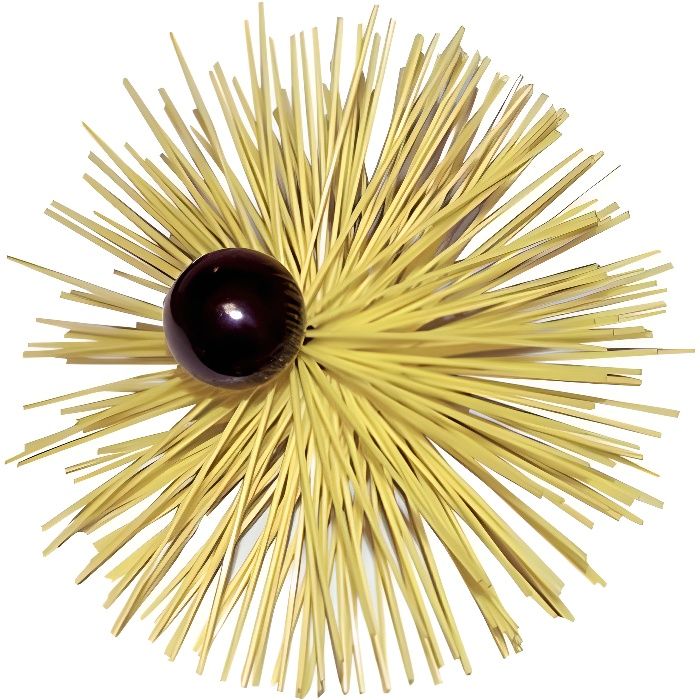 Brosse ronde pour chemin/ée Dia 15 cm
