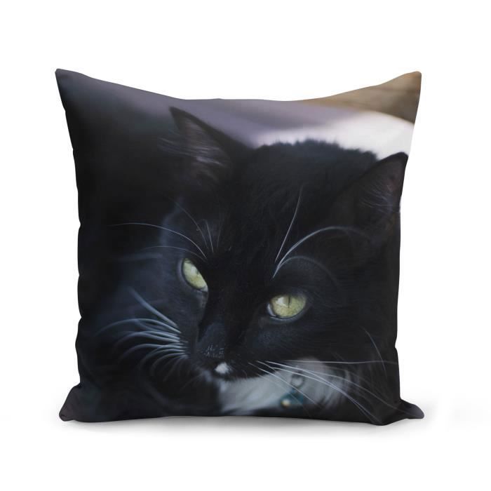 Housse De Coussin 40x40 Cm Chat Noir Et Blanc Felin Animaux De Compagnie Cdiscount Maison Housse De Coussin 40x40 Cm Chat Noir Et Blanc Felin Animaux De Compagnie Cdiscount Maison