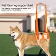 Drfeify Ceinture de soutien de jambe arrière pour chien Harnais de levage pour chien de compagnie en maille(L )-1