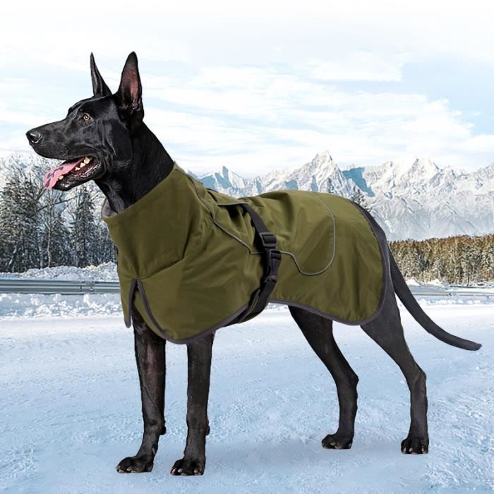 Manteau pour doberman new arrivals