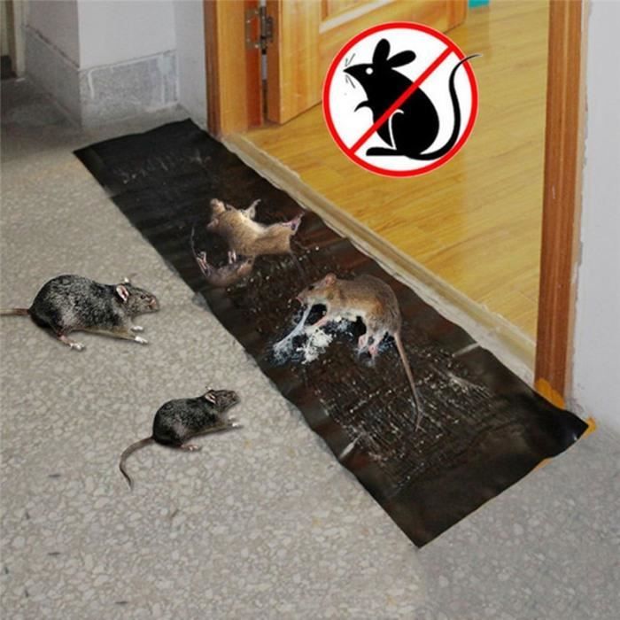 BSTOB Tapis de Rat Collant, Colle de piège à Rat pour Souris, Rongeur  piège, pour Porte, Conseil : : Jardin
