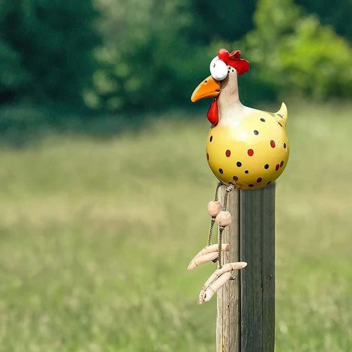 Poule Decorative Jardin, Statues De Jardin Drôle Extérieur Fée Jardin Décoration, Poulet En Résine Drôle Décoration De Jardin En Forme De Poule Figurine Animaux Sculptures (B