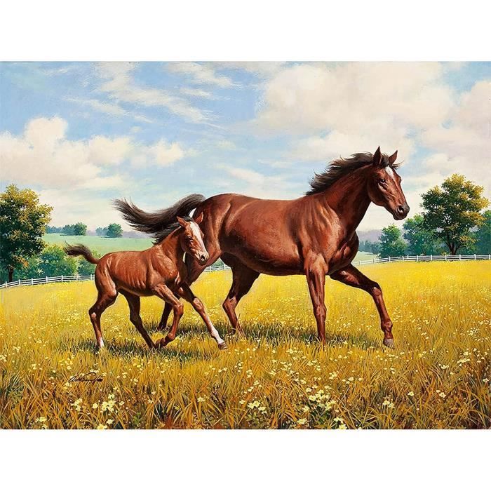 Bimkole 5d Diamond Painting Kit Completo Fai da Te Cat