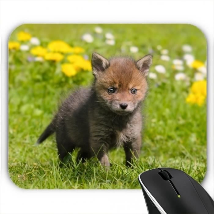 Tapis De Souris Mignon Renard Roux Bebe Animal Sauvage Cdiscount Informatique