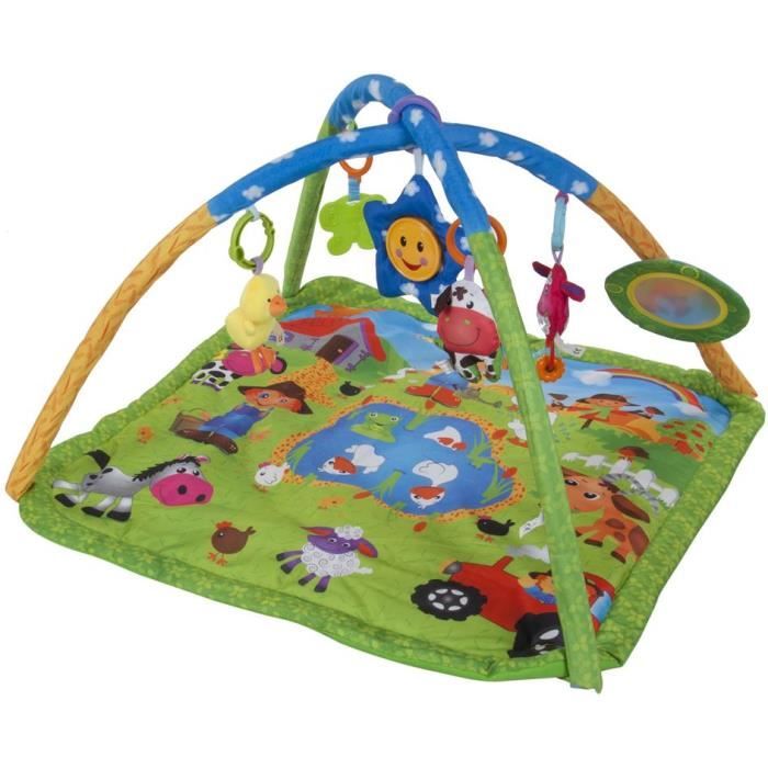 Tapis D Eveil Avec Jouets Miroir Et Coussin Bebe 0 Ferme Multicolore Cdiscount Puericulture Eveil Bebe Tapis D Eveil Avec Jouets Miroir Et Coussin Bebe 0 Ferme Multicolore Cdiscount Puericulture Eveil Bebe