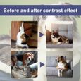 Spray anti-rayures pour animaux de compagnie, spray répulsif, canapé à gratter pour chat et chien-1