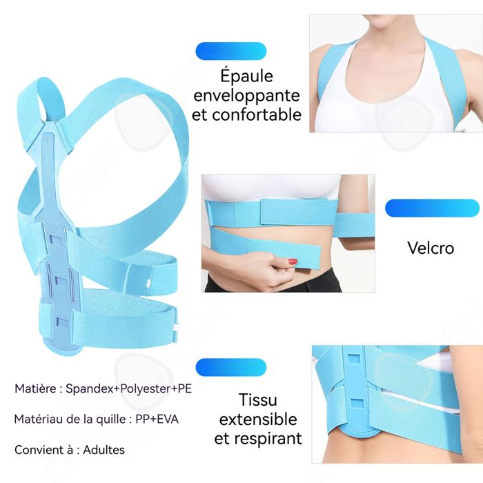 STAMINA FITNESS Ceinture Core Unisexe Adulte Gris Taille L - Soutien Lombaire