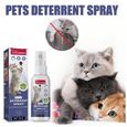 Spray anti-rayures pour animaux de compagnie, spray répulsif, canapé à gratter pour chat et chien-3