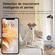 Caméra Espion 4K Avec Vision Nocturne - Détection Mouvement IA, Alertes Instantanées - Double Stockage SD/cloud - Batterie 4-6h