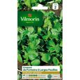 Cresson de Fontaine à larges feuilles - VILMORIN - Variété très productive - Saveur piquante-0