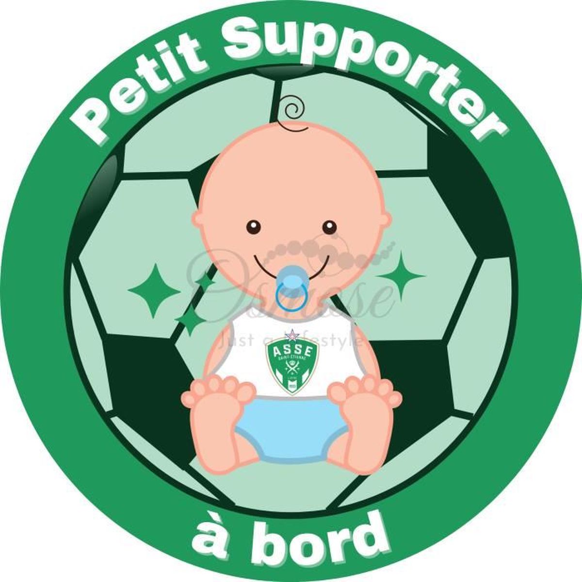 Sections des associés supporters présentes | ASSE vs Rodez