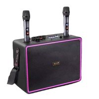 Haut-parleur Bluetooth TD® 8 pouces portable extérieur sans fil audio portable microphone de lecture caisson de basses