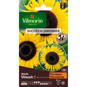 GRAINE - SEMENCE VILMORIN Sachet graines de fleurs Tournesol Soleil WAOOH !