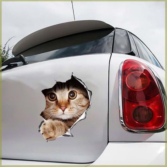 3 Pièces Stickers Voiture Chat - Autocollants Mignons Et Humoristiques Pour Décorer Votre Auto