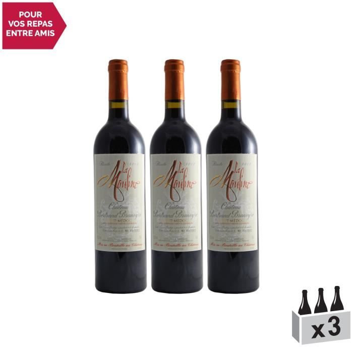 Château Bertrand Braneyre Cuvée La Mouline Rouge 2002 - Lot de 3x75cl - Appellation AOC Haut-Médoc - Vin Rouge de Bordeaux -