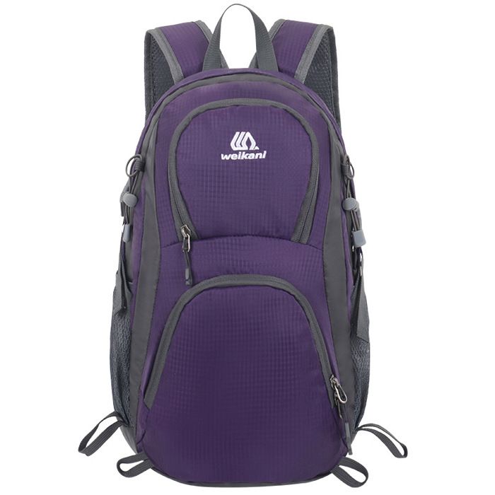 Vaude PUCK 10 UNISEX - Sac à dos - pastel lilac/lilas