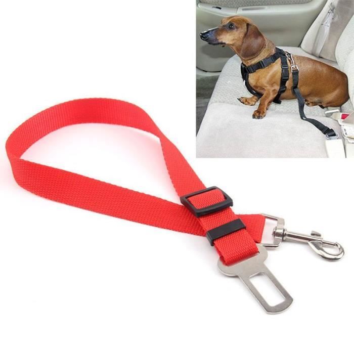 Ceinture De Sécurité Pour Chien Voiture – Longueur Réglable 56-70 Cm – Avec Amortisseur De Chocs – Compatible Harnais - 9