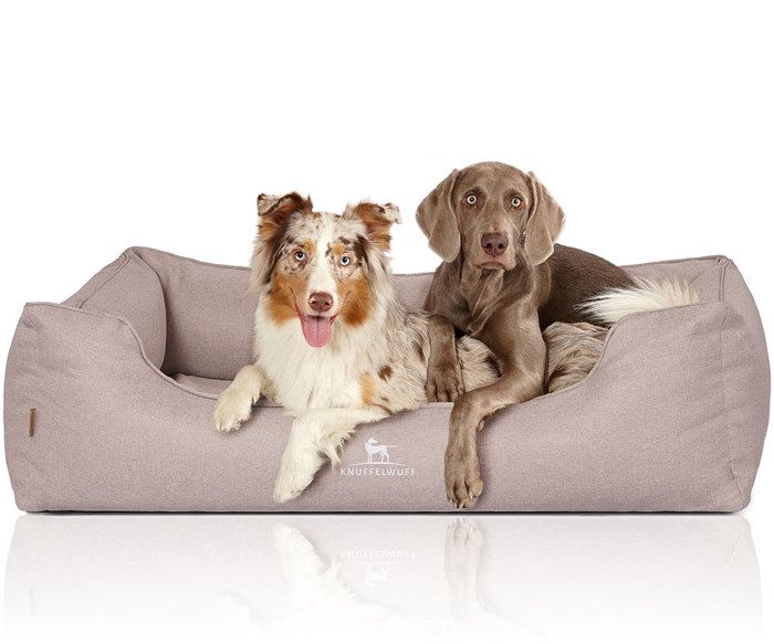 Meilleurs prix pour Knuffelwuff Luisa Sunshine Edition, orthopédique, XL beige