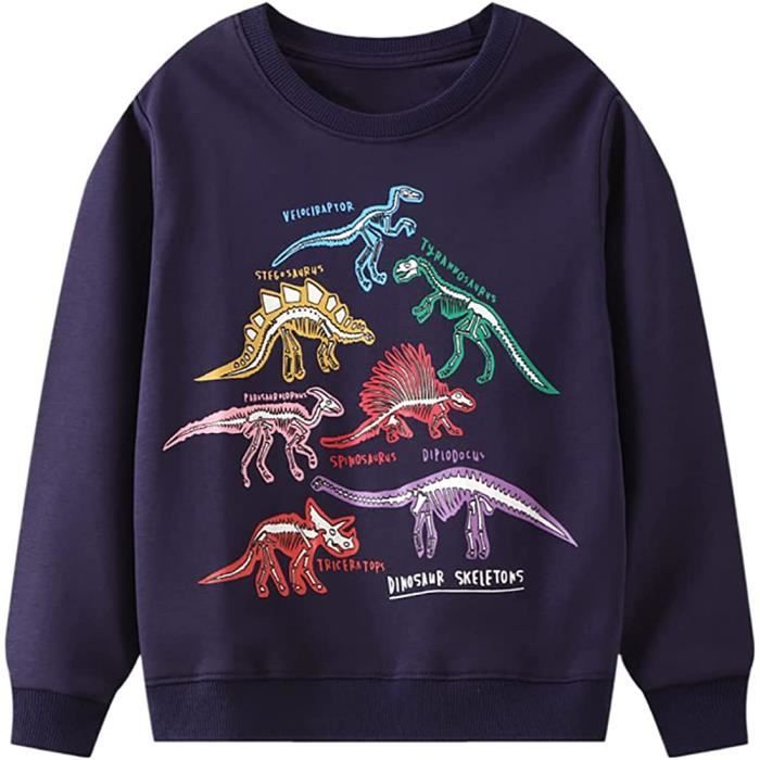 SWEATSHIRT Garcon Sweat Shirt Fluorescent Pull Enfant Imprime Dinosaure Requin Manches Longues Cinabre Cdiscount Pret a Porter