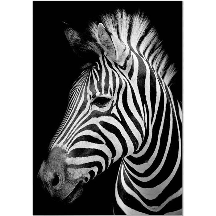 Poster Zebre Cdiscount