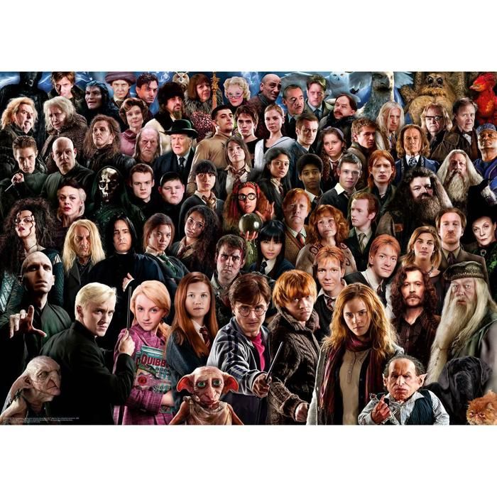 Puzzle - RAVENSBURGER - Harry Potter - 1000 pièces - 70x50 cm - Pour adultes
