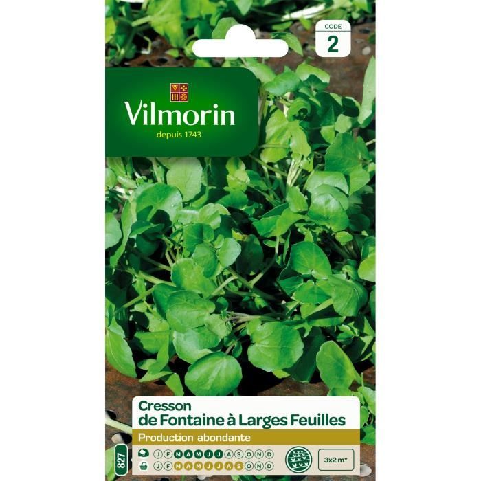 Cresson de Fontaine à larges feuilles - VILMORIN - Variété très productive - Saveur piquante