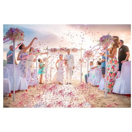 Lot 12 Paquets Confettis Mariage Biodégradables Pétales Roses Séchées Naturelles