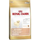 ROYAL CANIN SHN Breed Labrador Junior croquettes pour chien - 12 kg.
