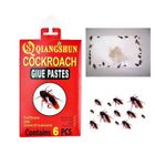 Shipenophy Piège à cafards en 6 pièces, appât attrape-cafards pour contrôle des parasites à la maison