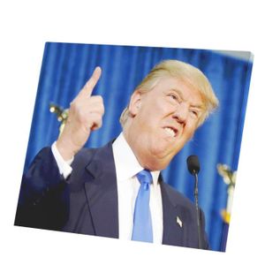 TABLEAU - TOILE Tableau Décoratif  Donald Trump President Usa Doig
