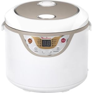 multicuiseur 12 en 1 rotir frire mijoter capacite 5l 1400w cdiscount electromenager