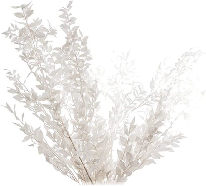 66 Fleurs Séchées Naturelles Pour DIY - Décoration Résine Epoxy, Bijoux, Bougies, Nail Art, Scrapbooking