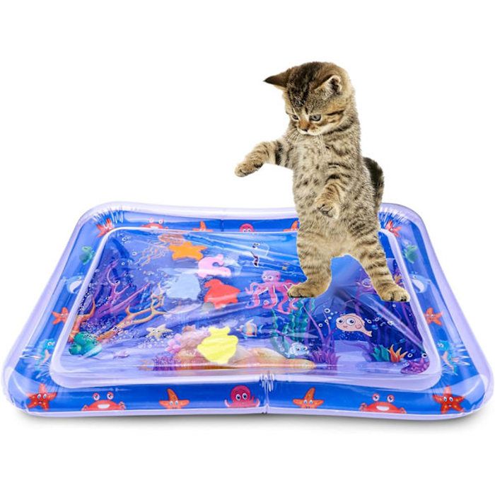 Meilleurs prix pour Tapis de jeu sensoriel deau pour chats jouets pour chats dintrieur qui sennuient tapis de jeu automoteur pour chats VHV