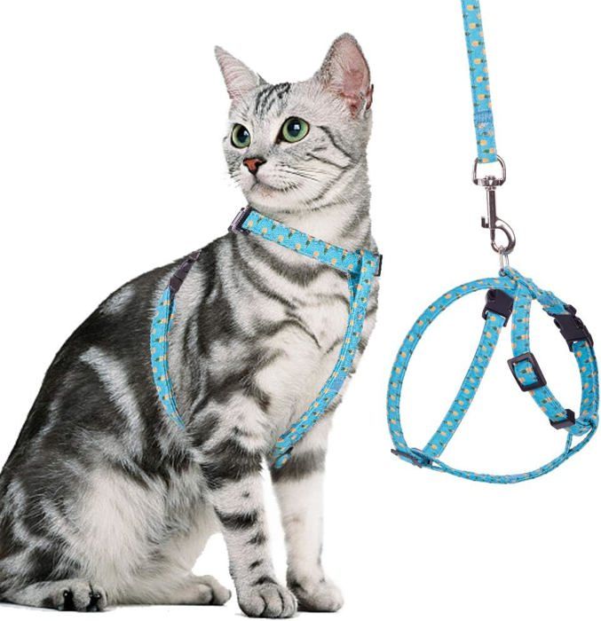 Meilleurs prix pour Ensemble harnais et laisse pour chat anti-fuite - Harnais réglable avec gilet souple pour marcher avec lananas