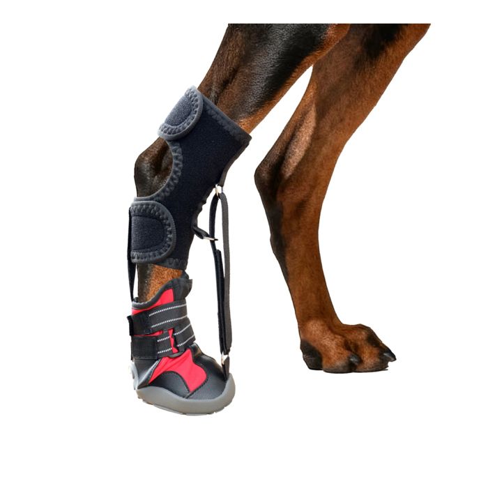 Chaussettes pour chien Support pour patte avec brides Améliore la démarche du chien Semelle résistante et antidérapante noir
