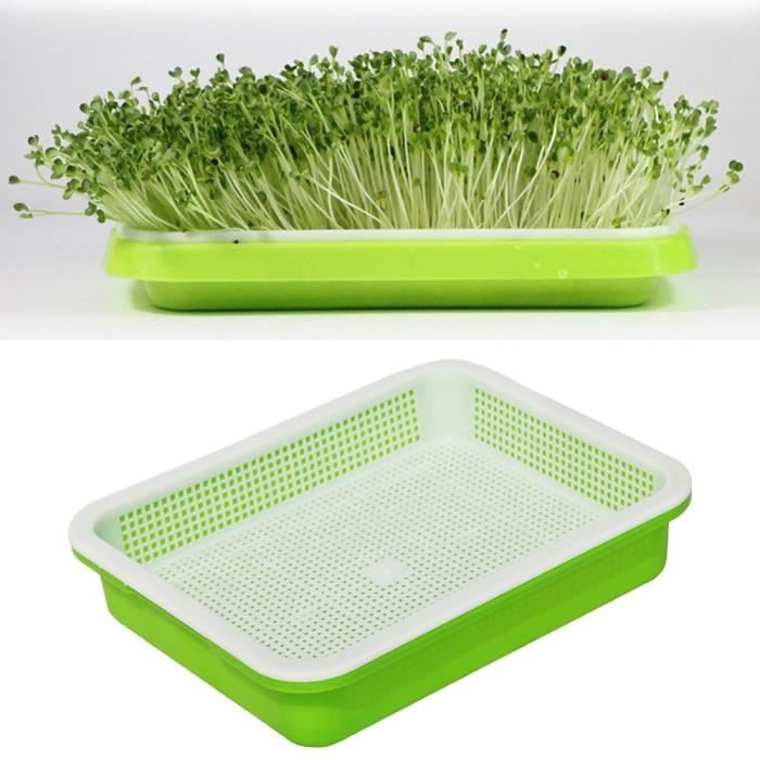 Lot De 5 Bacs à Germination - 32,5x23,5x5 Cm - Pour Faire Pousser Des Graines Germées (alfalfa, Haricot Mungo...) - 8
