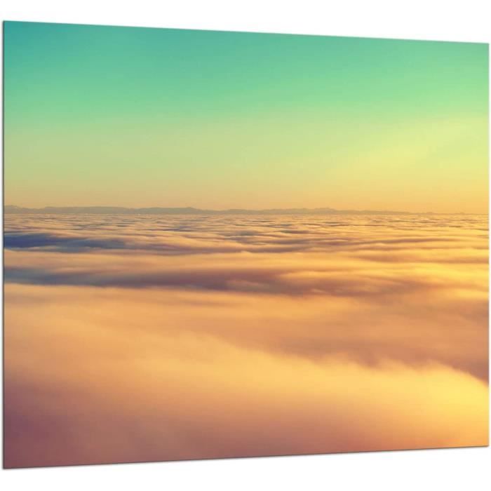 Crédence Fond De Hotte En Verre Trempé 60x65cm Motif Tomates Roche