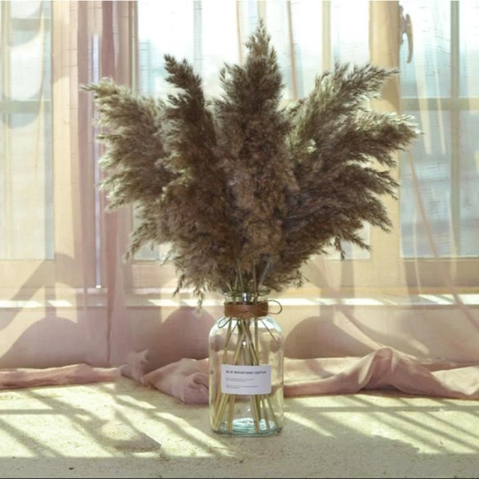 Fleurs Séchées De Pampa Lot De 6 Bouquet De Fleurs Séchées 45cm Artificielle Champêtre Herbes De La Pampas Gris 61100681